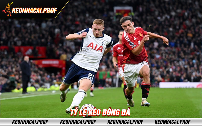 Ty le keo bong da Tỷ lệ kèo bóng đá